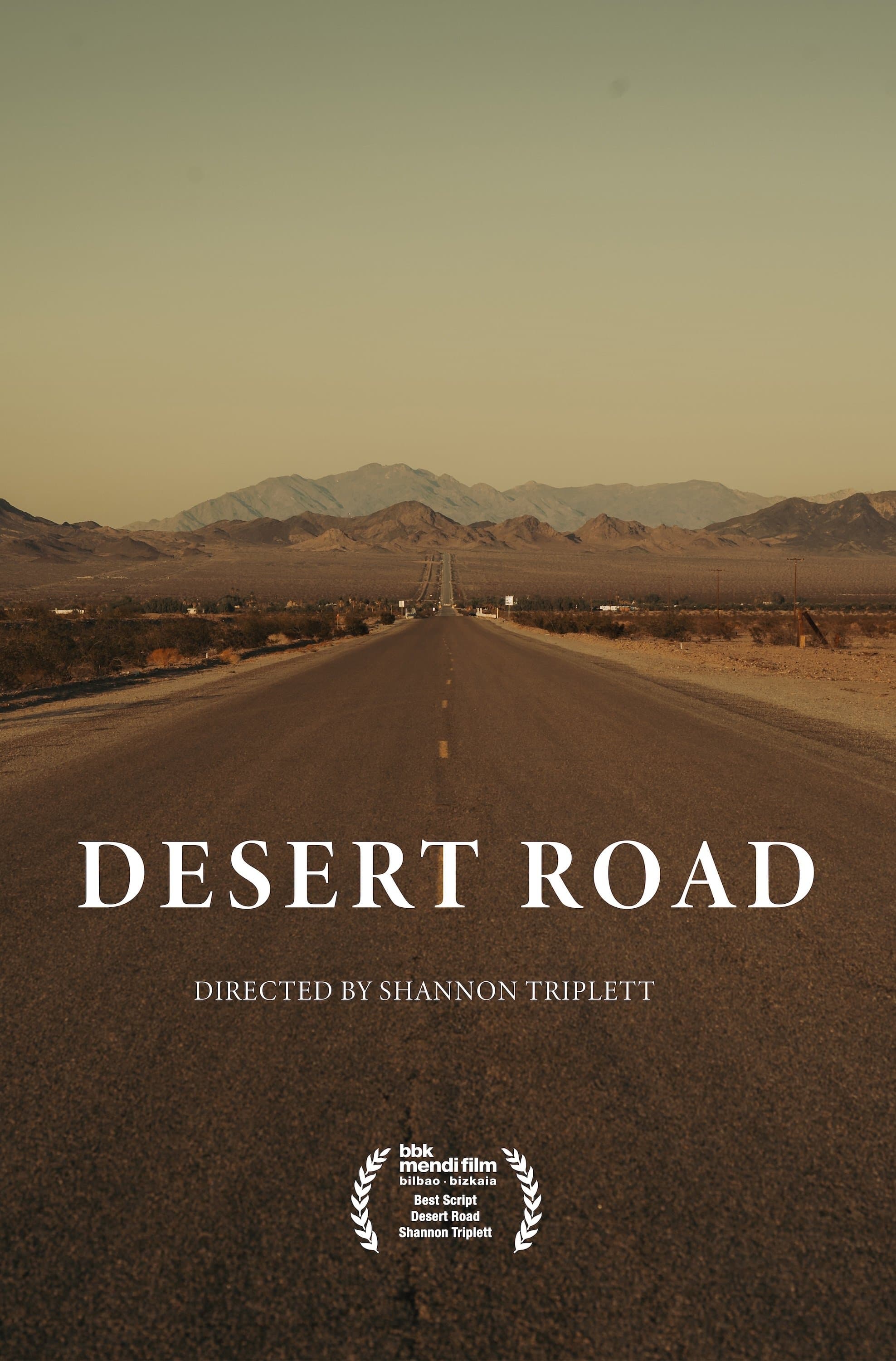 Poster Desert Road