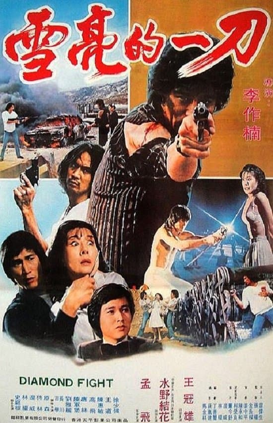 Poster Diamond Fight