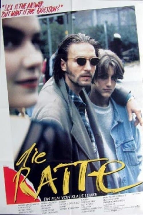 Poster Die Ratte