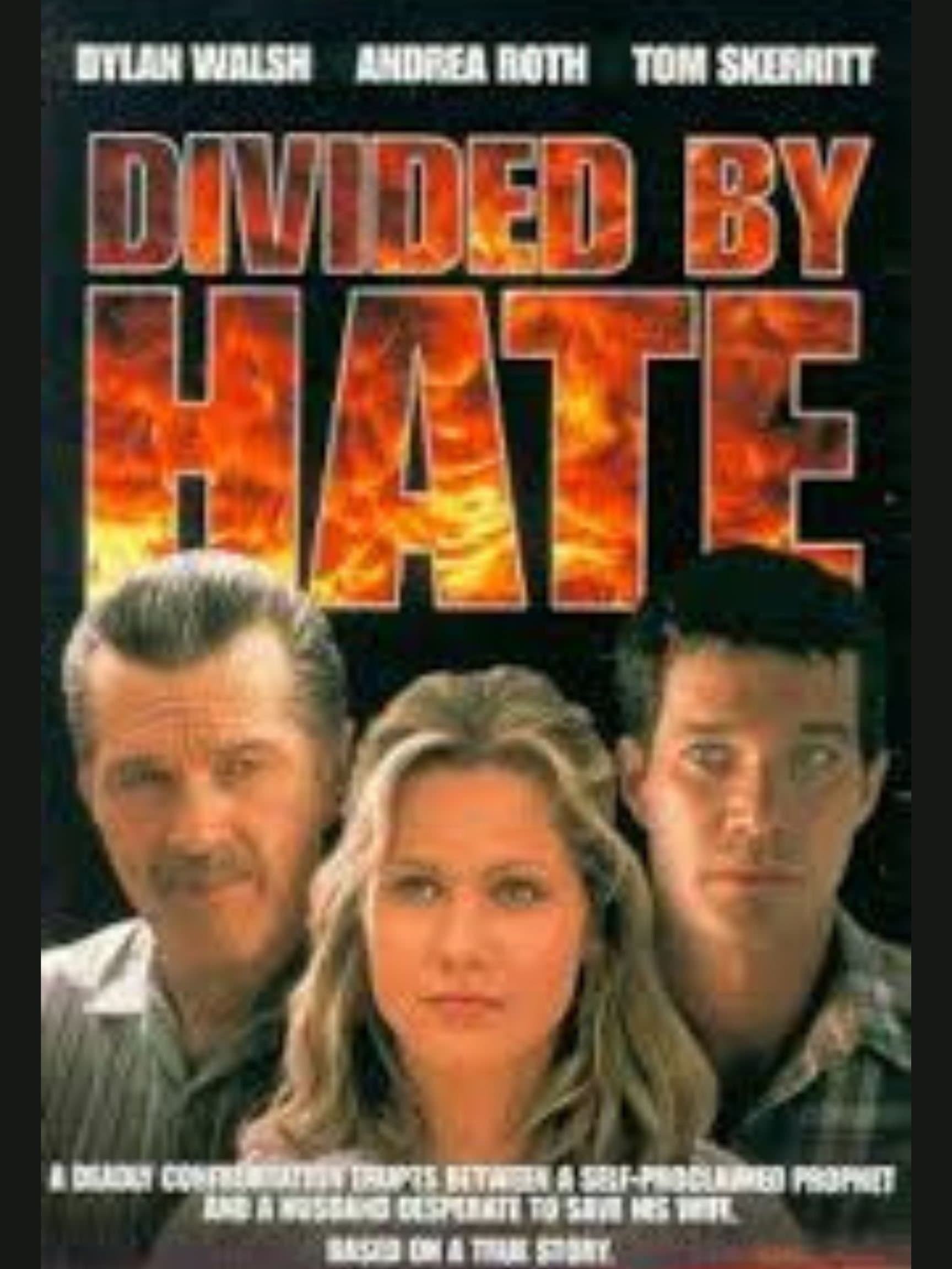 Poster Divided by Hate