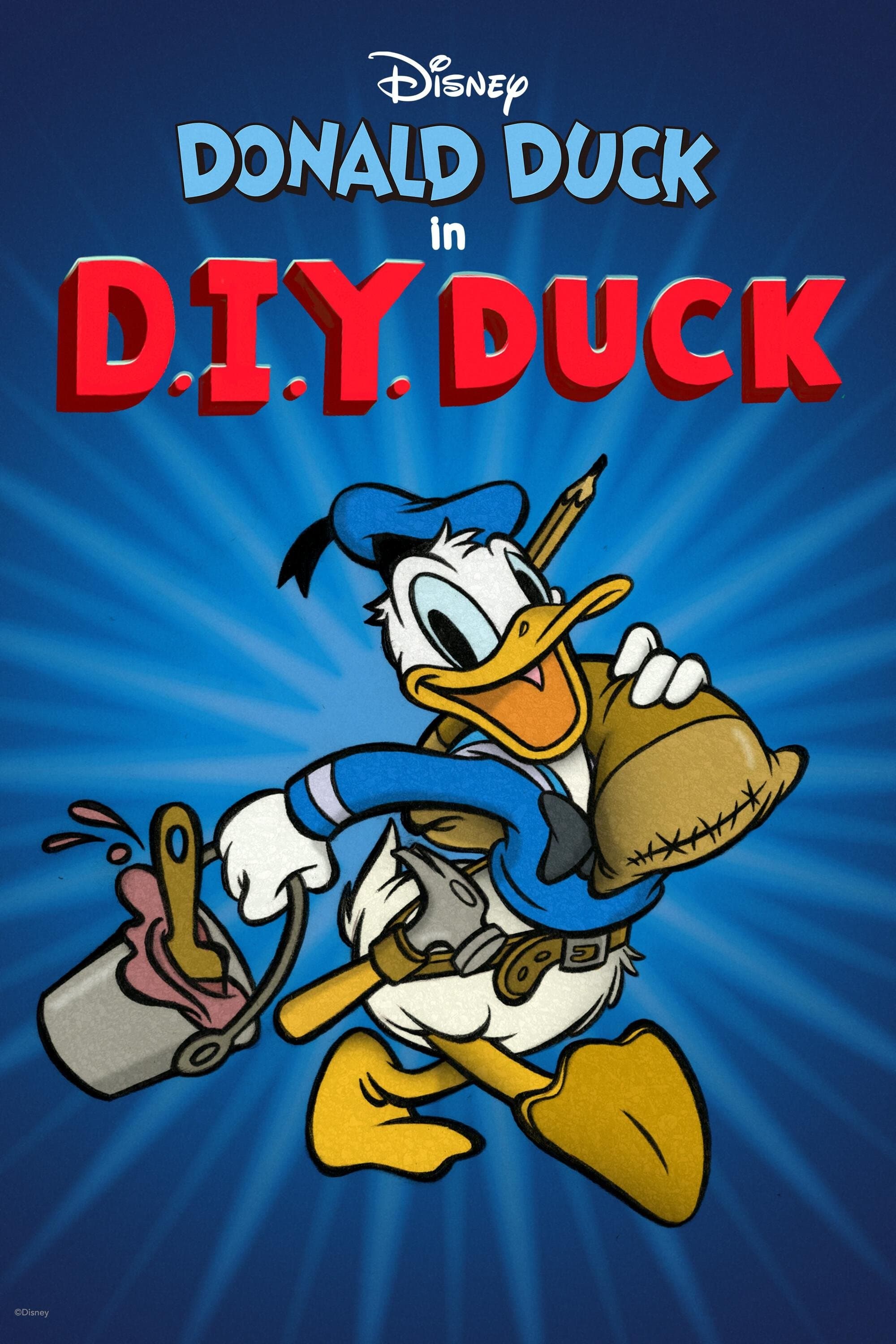 Poster D.I.Y. Duck