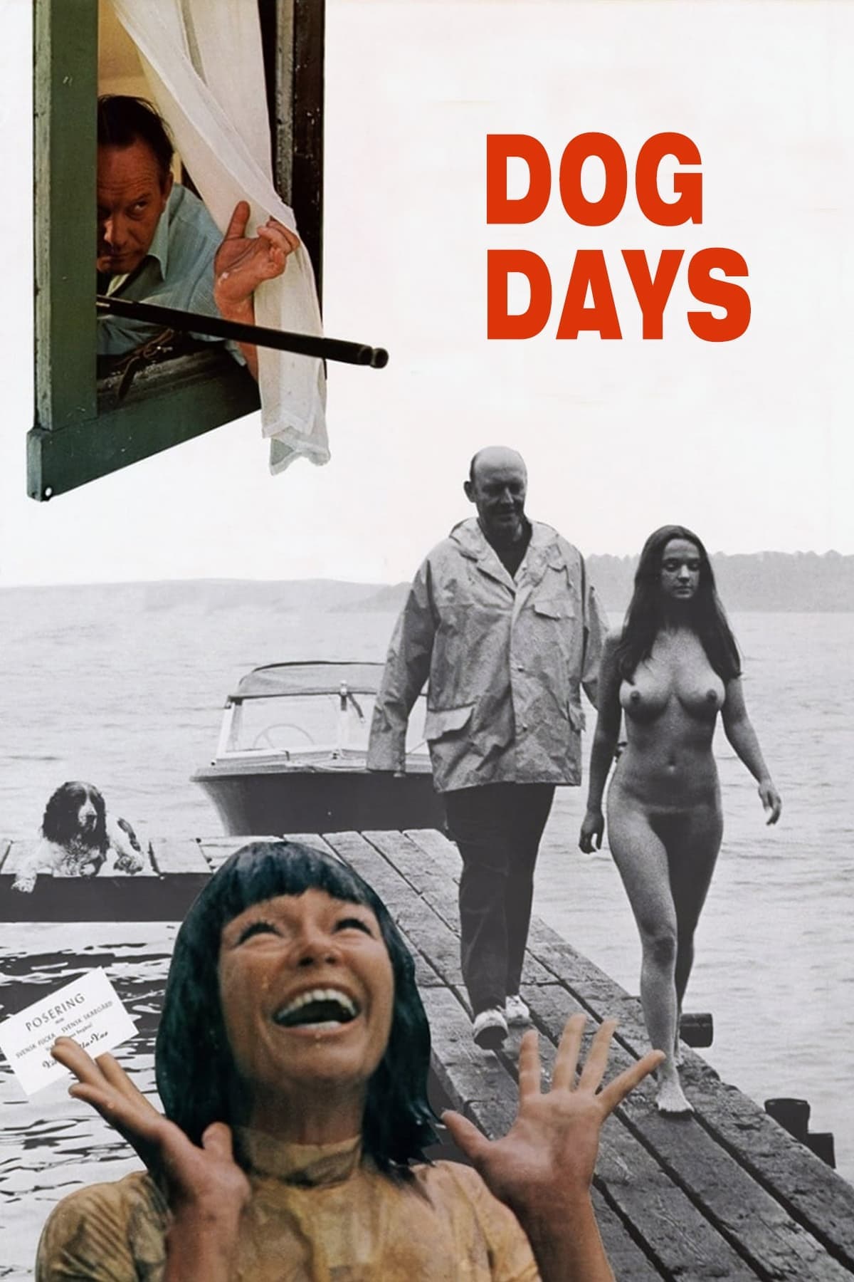 Poster Dog Days