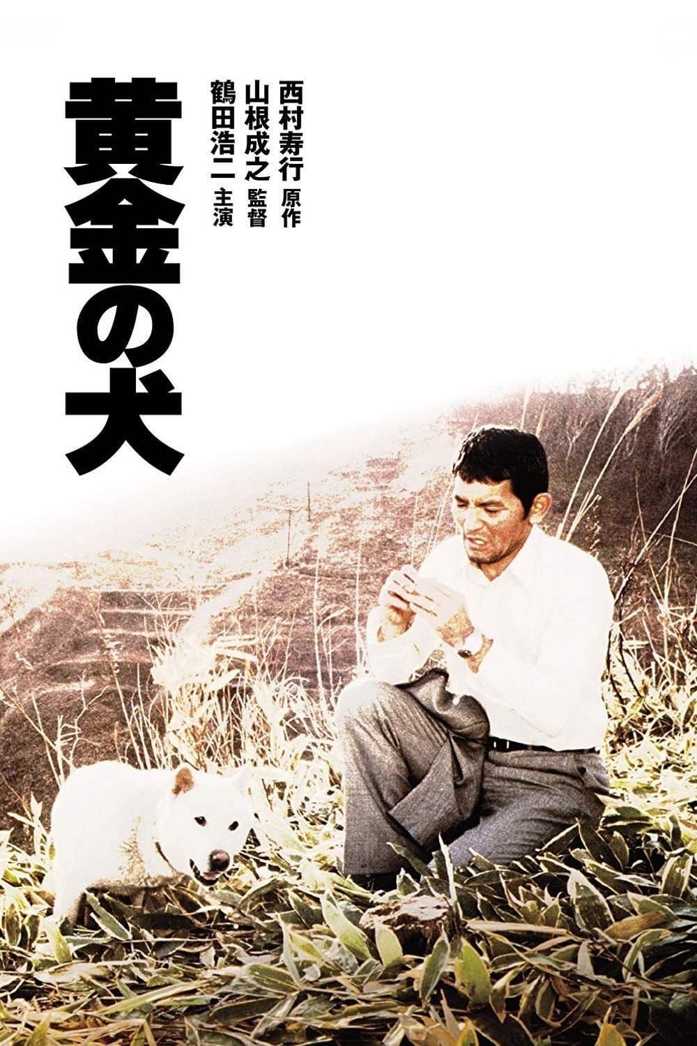 Poster Dog of Fortune