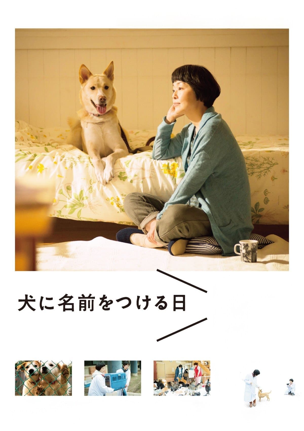 Poster Dogs Without Names
