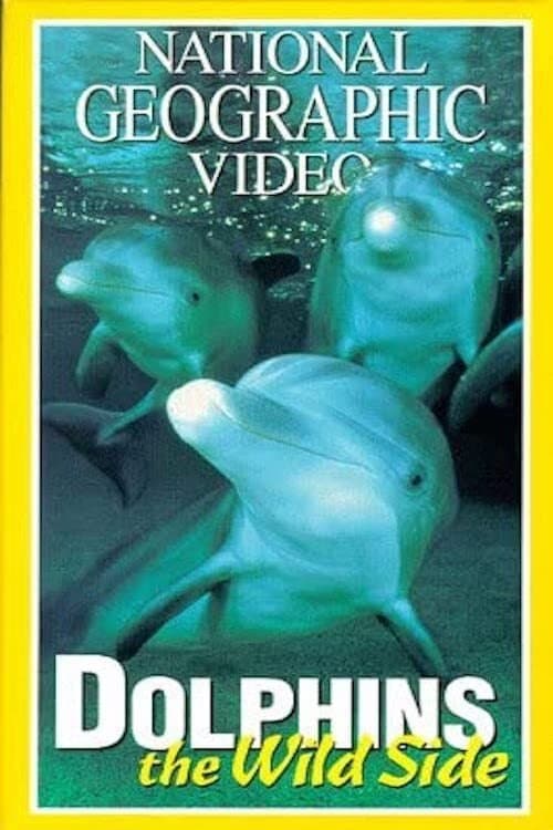 Poster Dolphins: The Wild Side