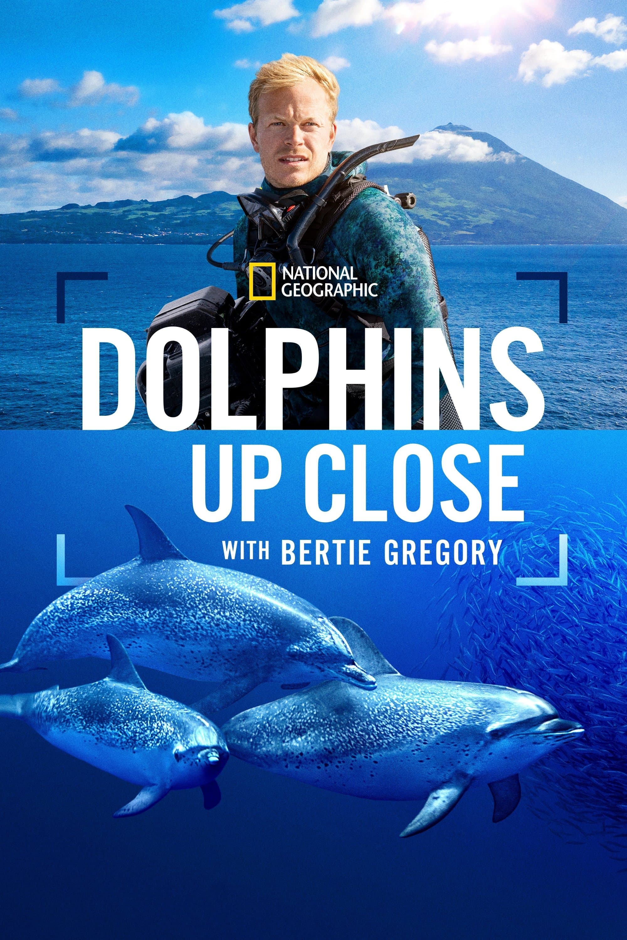 Poster Dolphins Up Close with Bertie Gregory