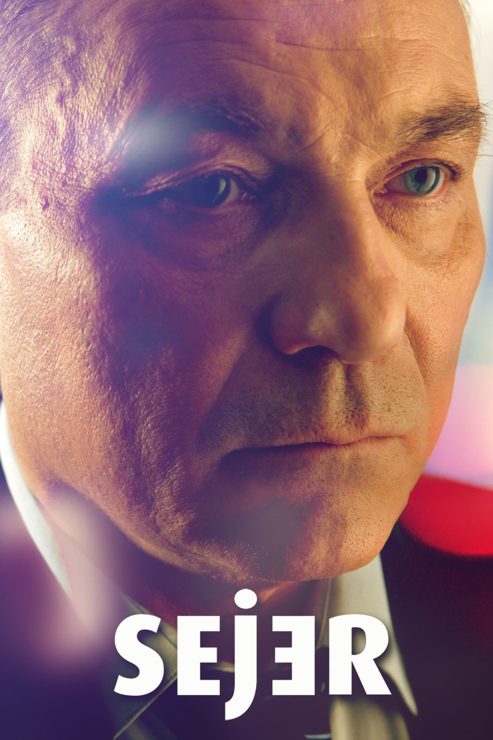 Poster Don't Look Back