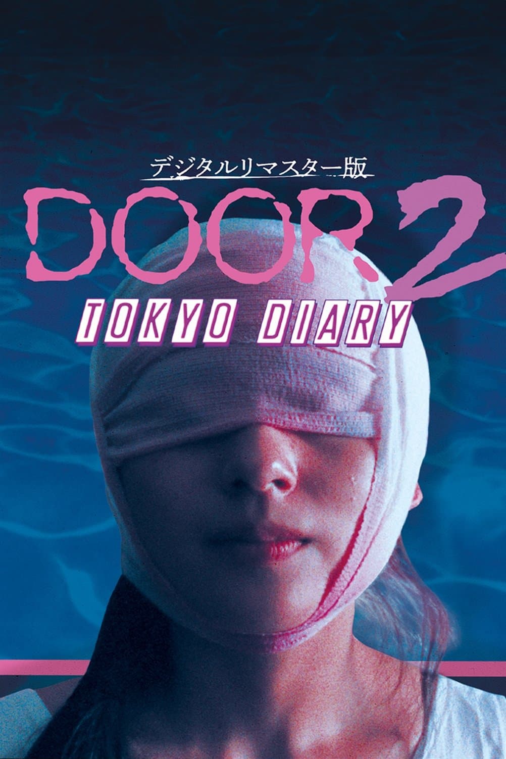 Poster Door II: Tokyo Diary
