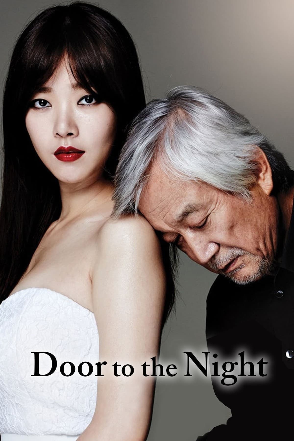 Poster Door to the Night