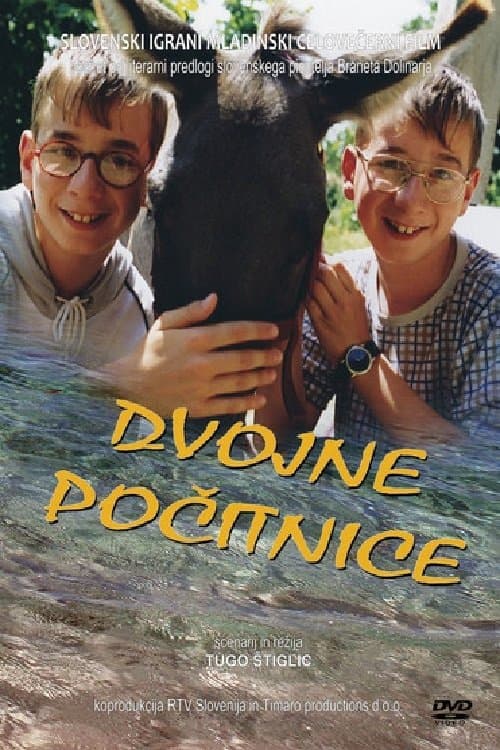 Poster Double Holidays