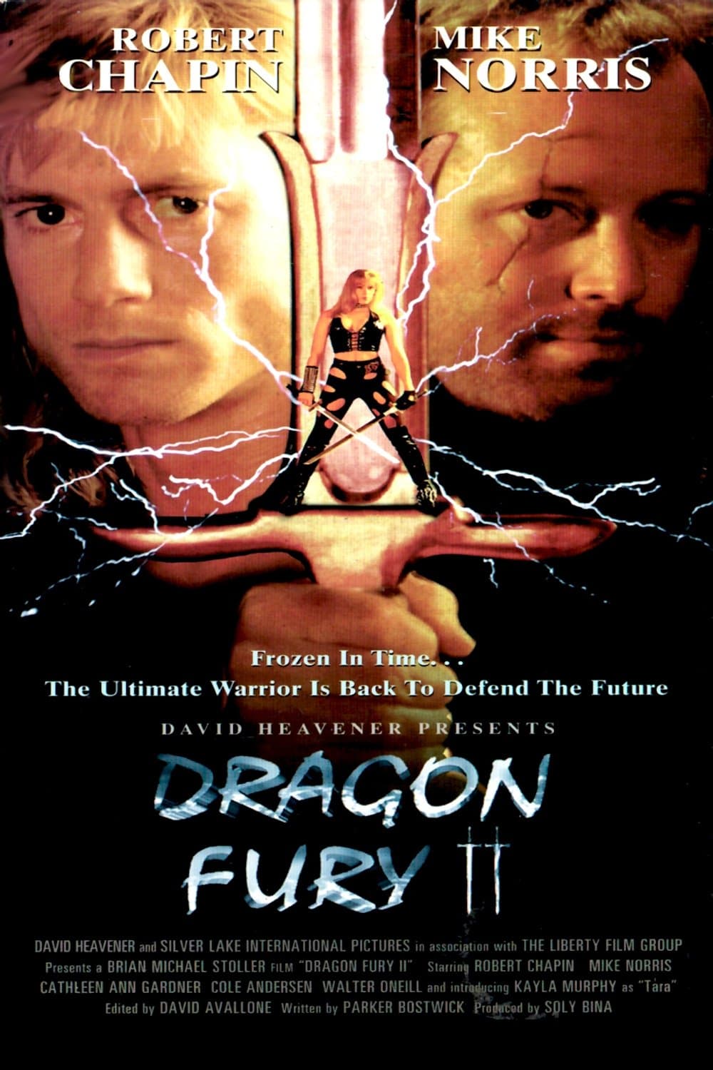 Poster Dragon Fury II