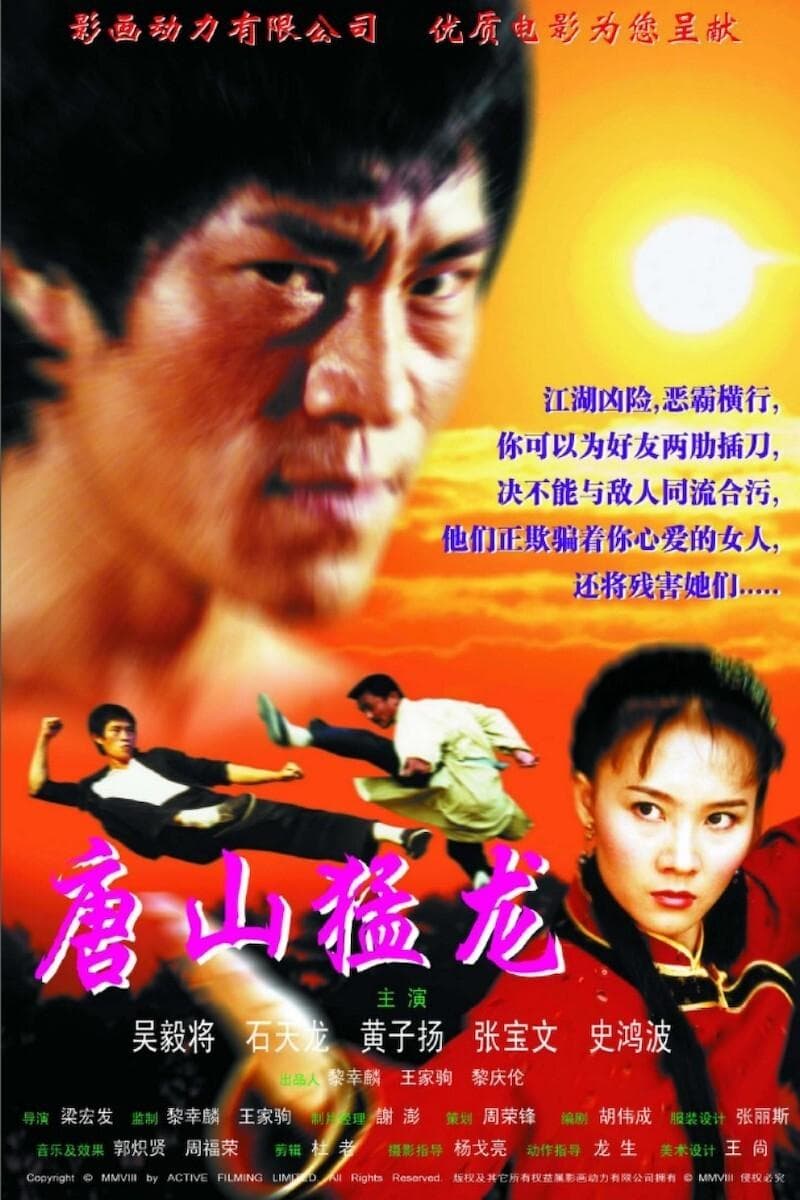 Poster Dragon the Master 2