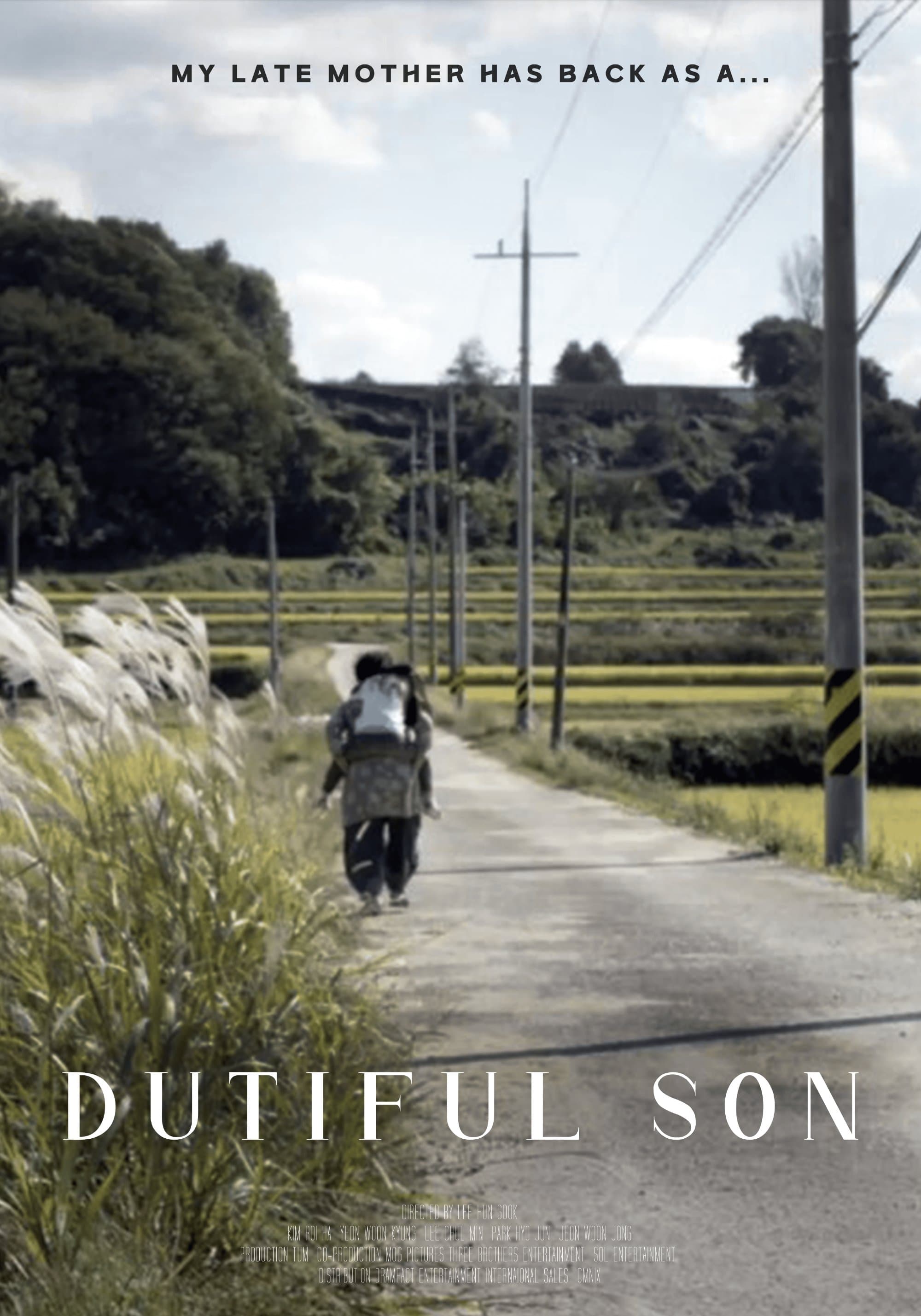 Poster Dutiful Son