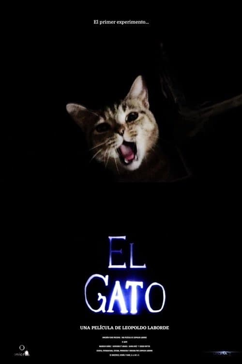 Poster El gato