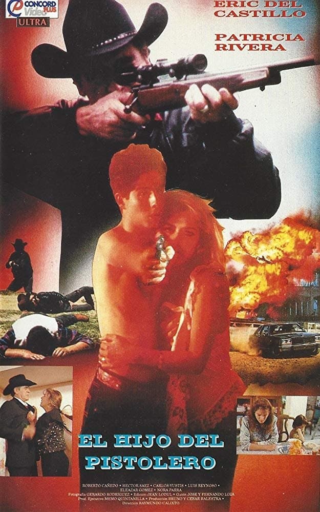 Poster El hijo del pistolero