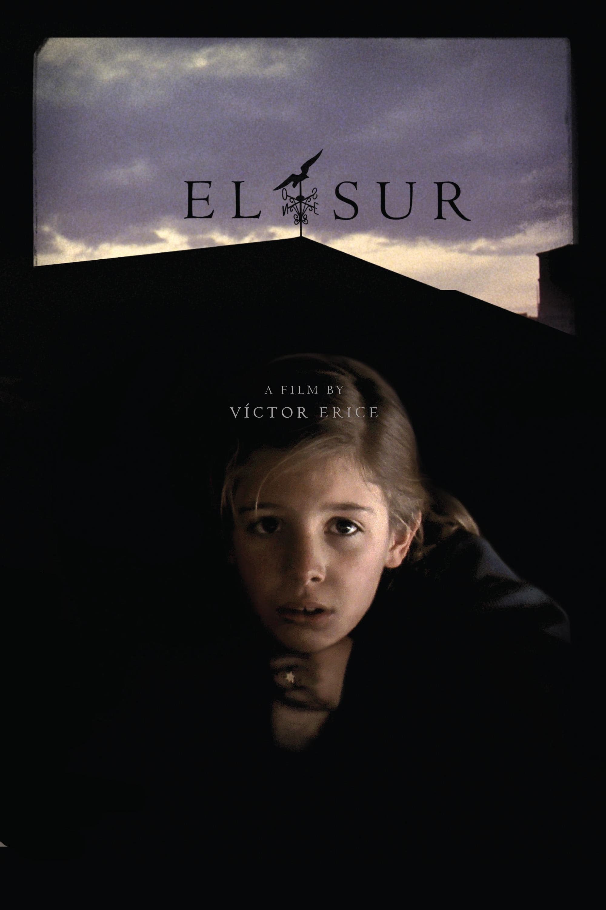 Poster El Sur