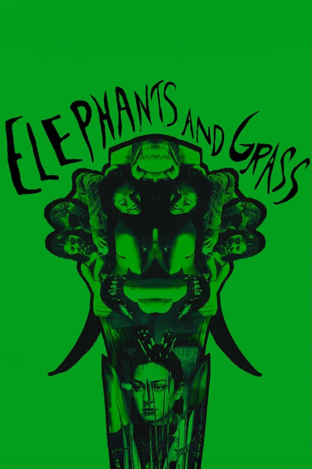 Poster Elephants and Grass