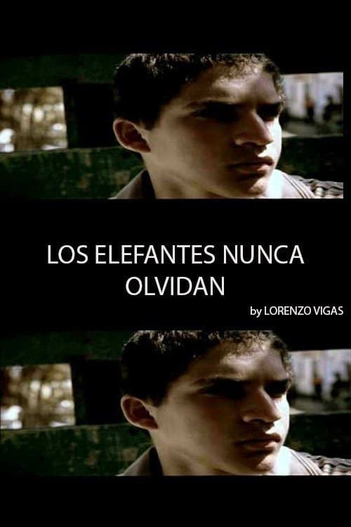 Poster Elephants Never Forget