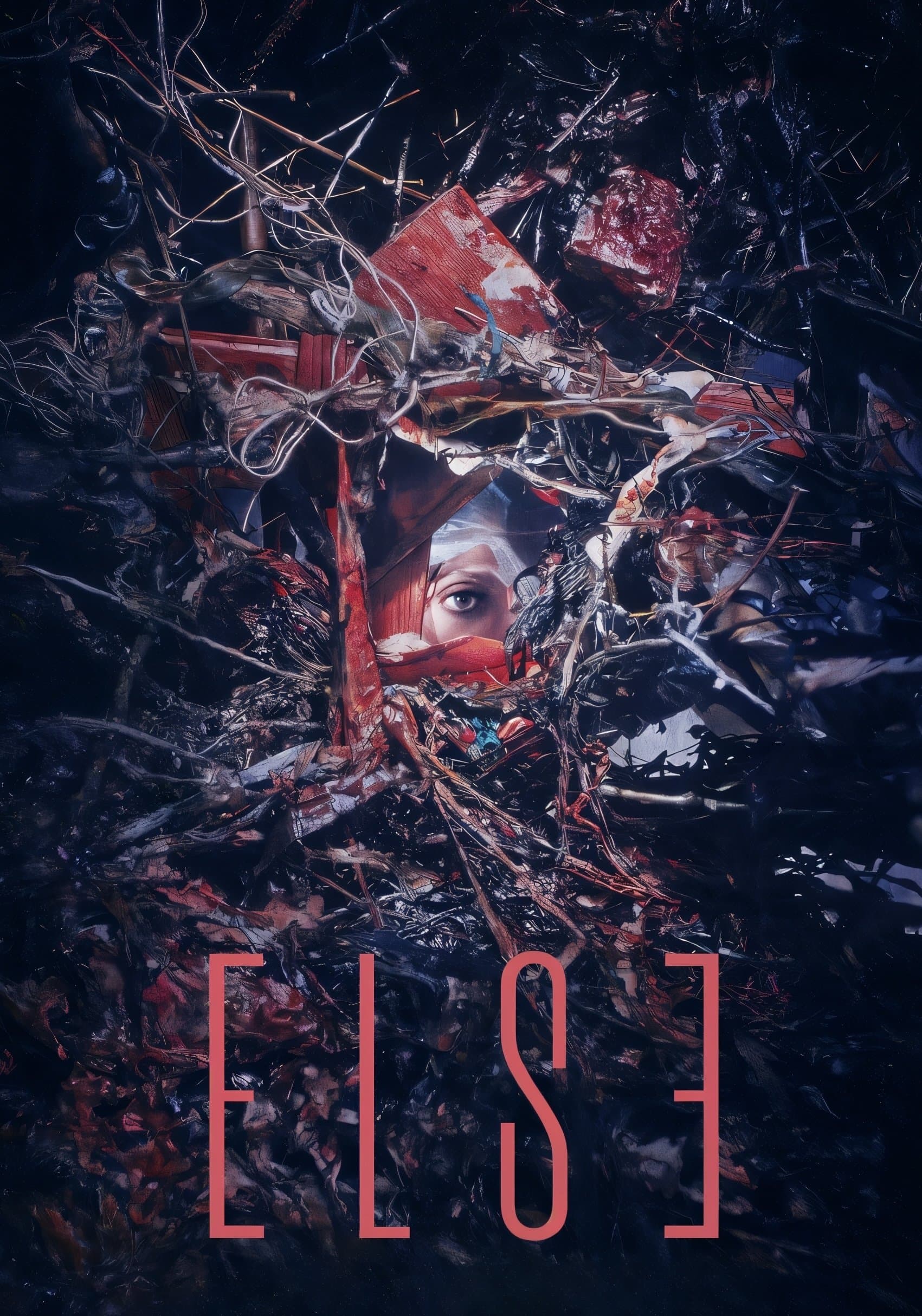 Poster Else
