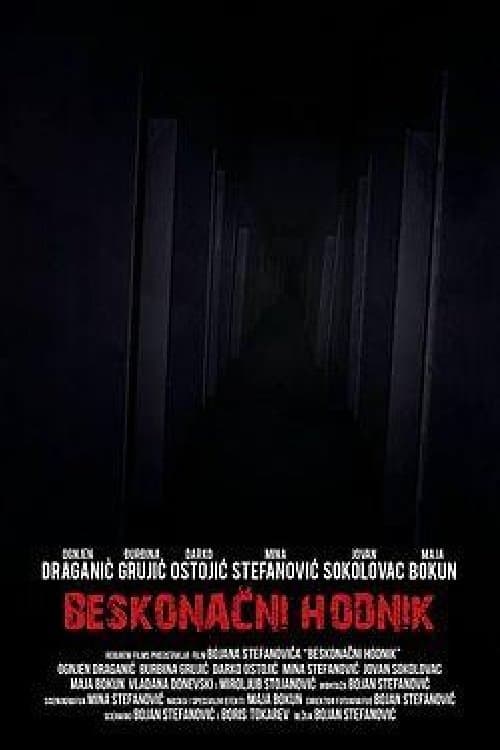 Poster Endless Corridor