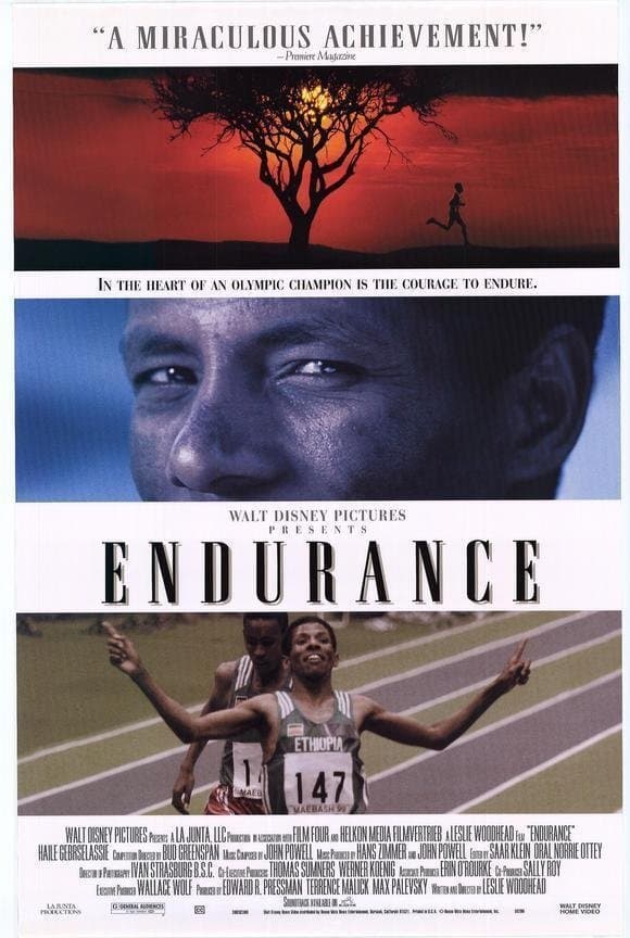 Poster Endurance