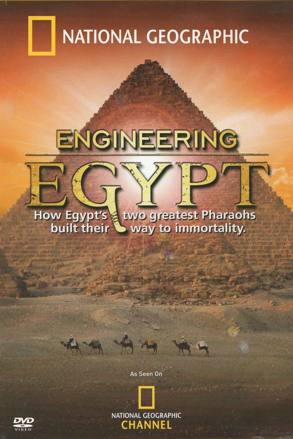 Poster Engineering Egypt
