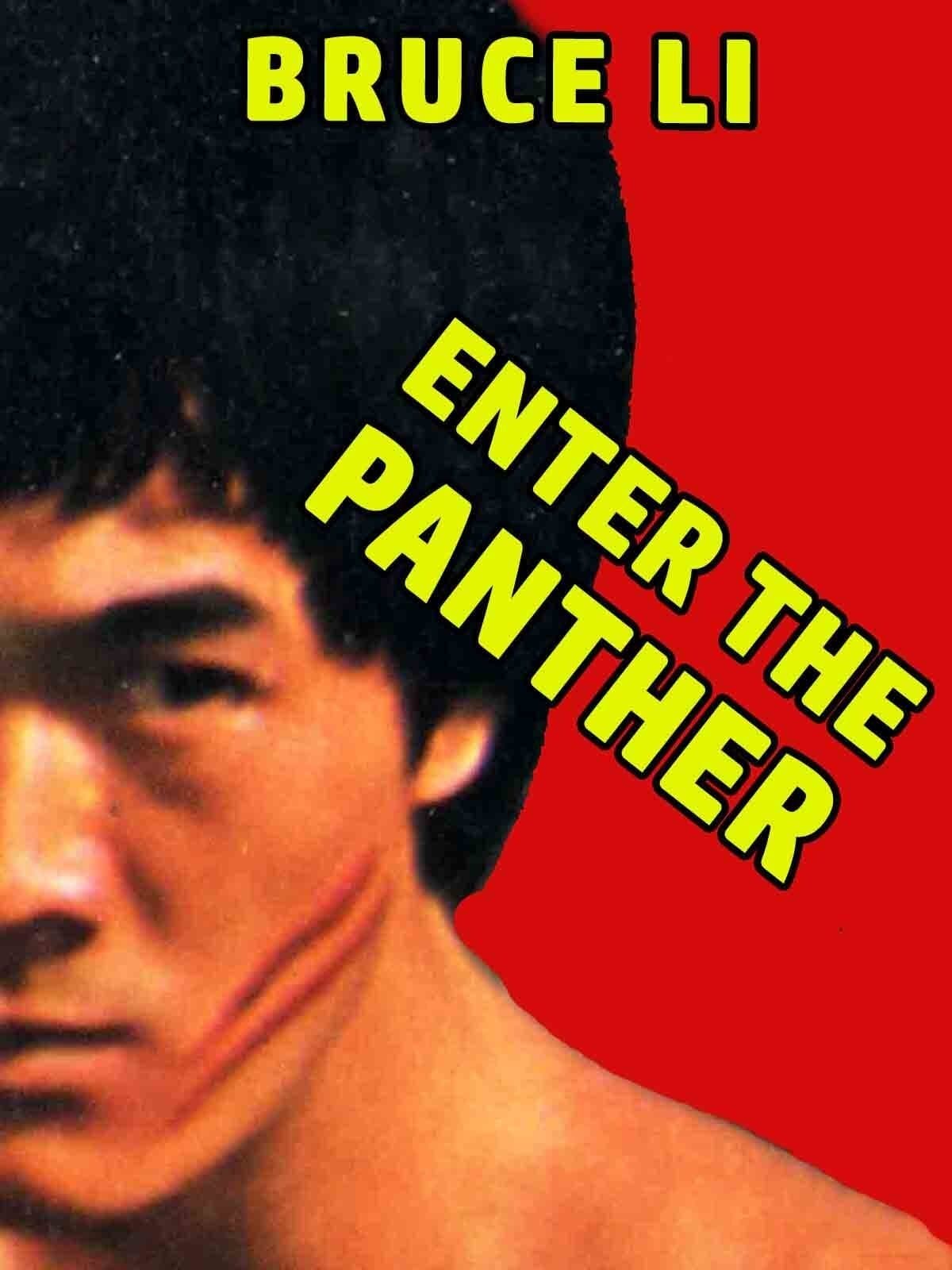 Poster Enter the Panther