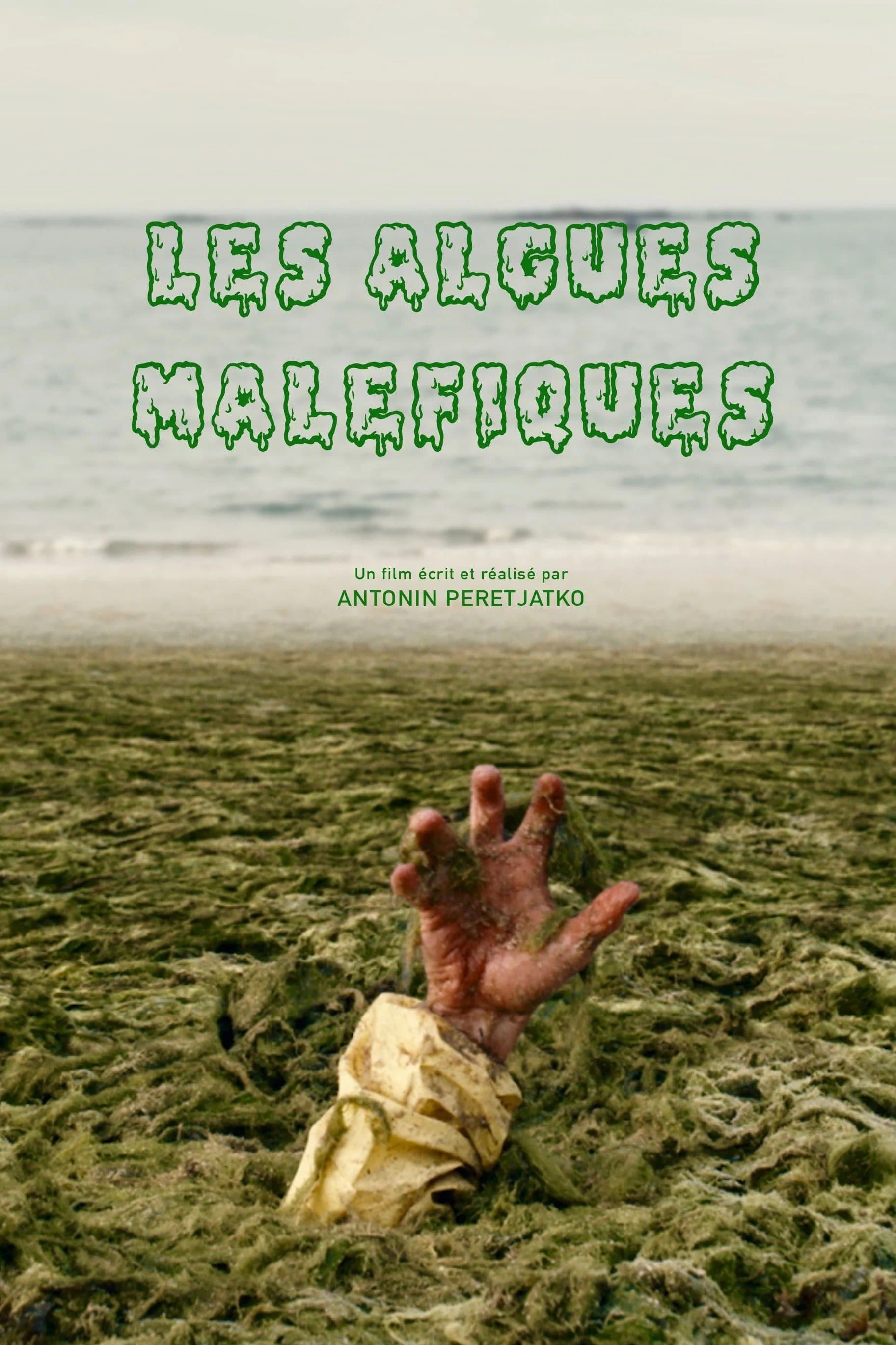 Poster Evil Seaweed