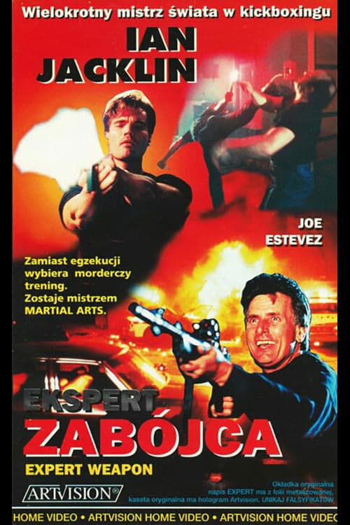 Poster Expert Weapon