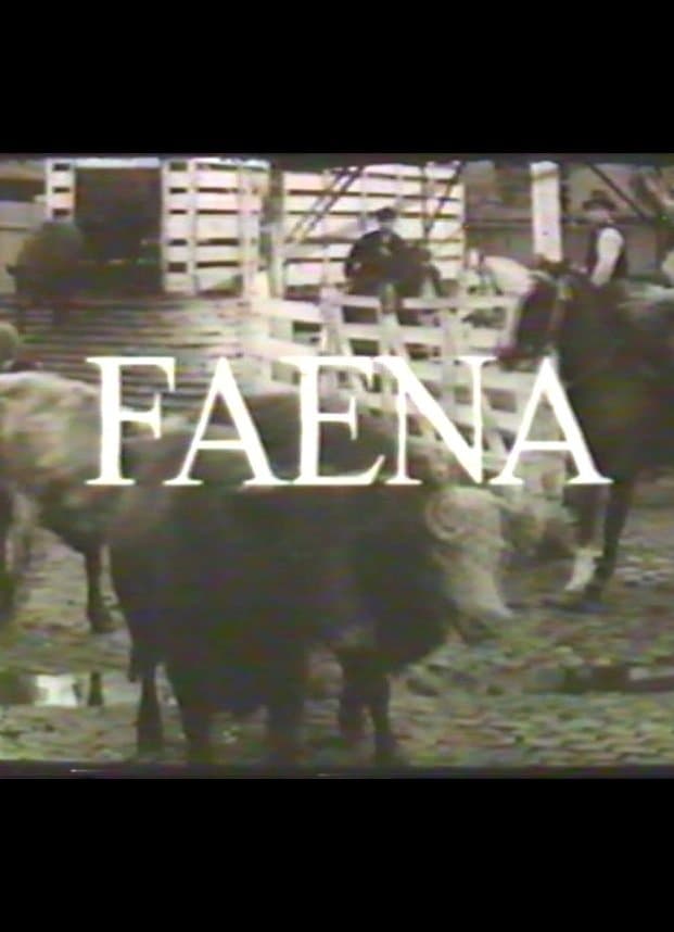 Poster Faena
