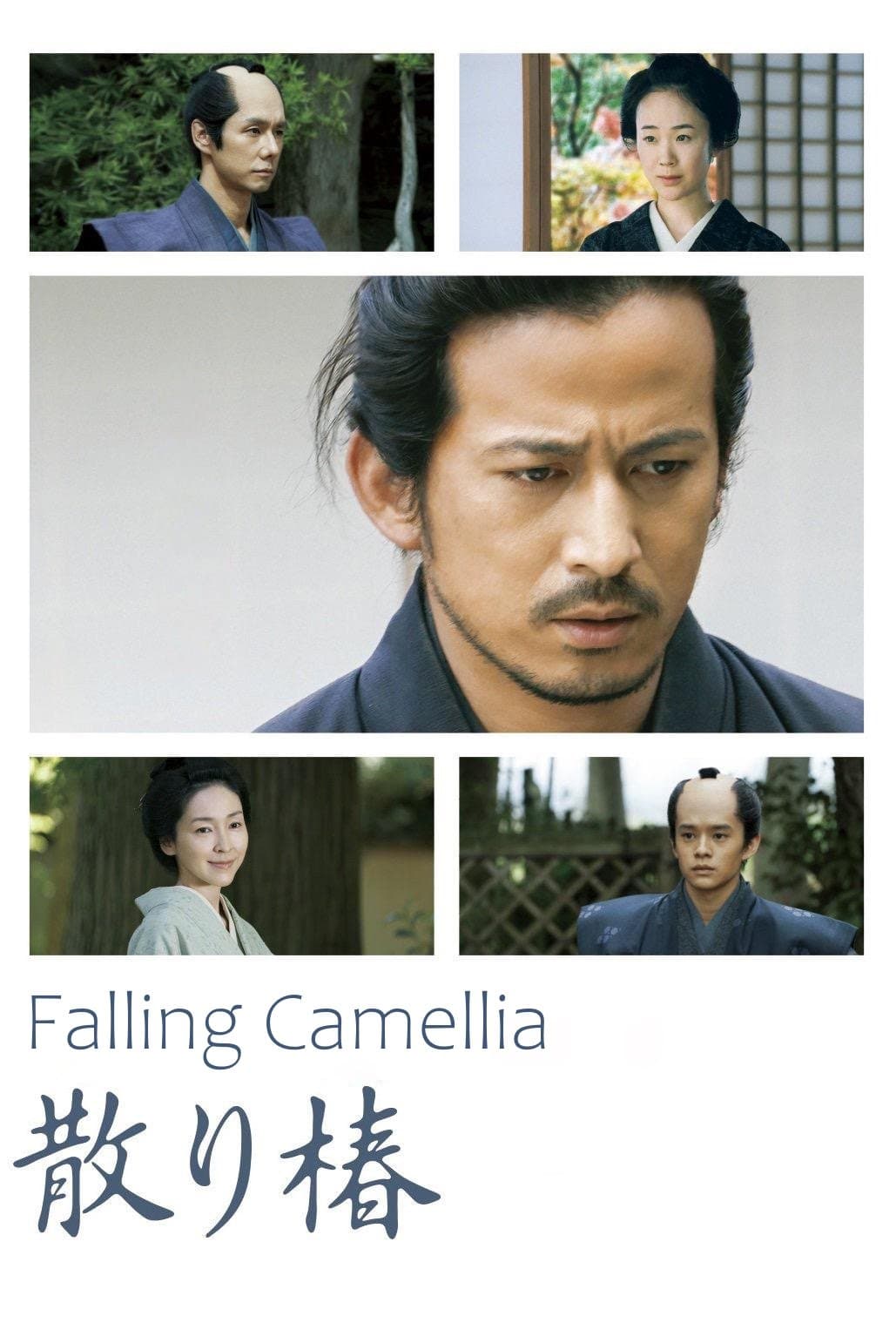 Poster Falling Camellia