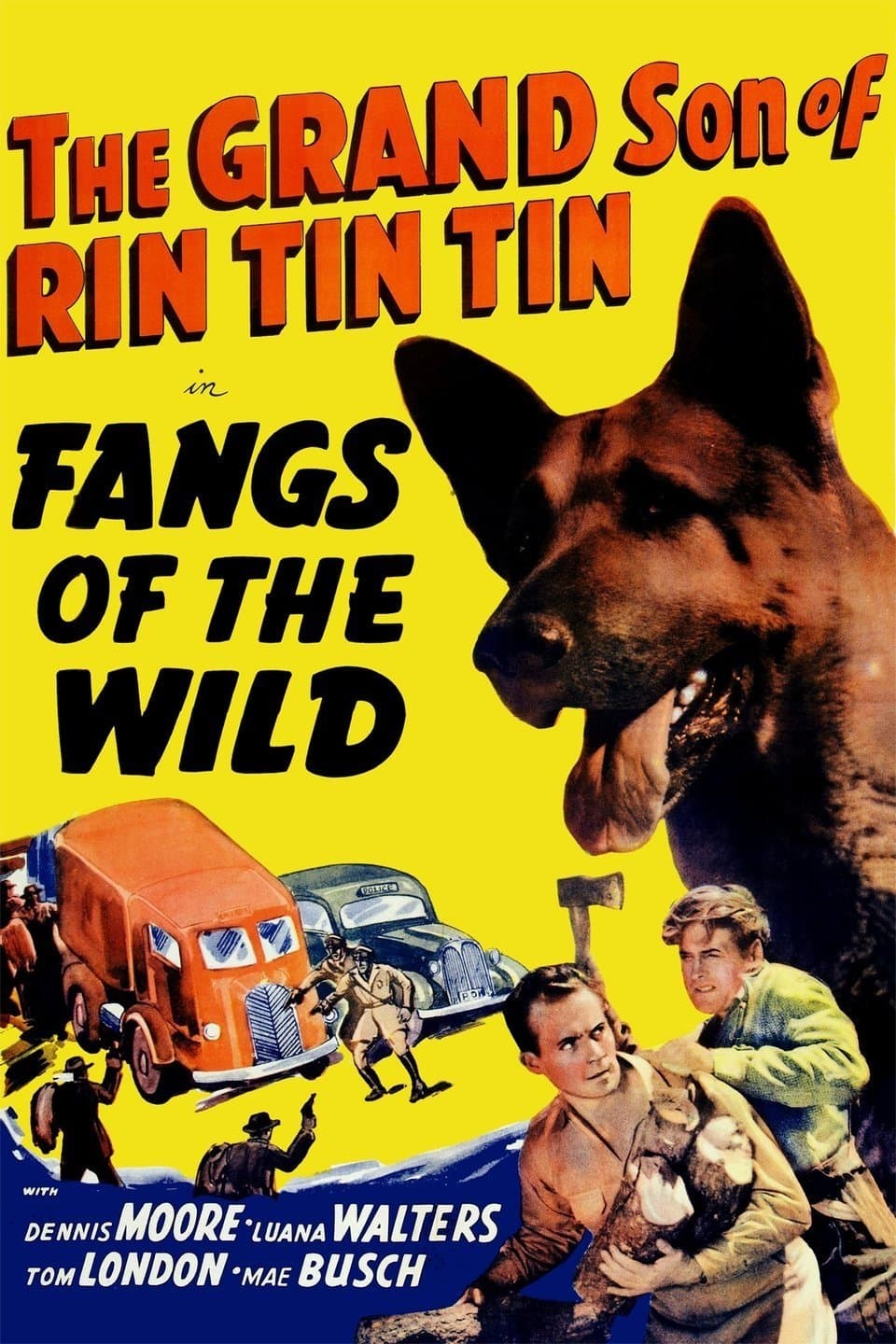 Poster Fangs of the Wild