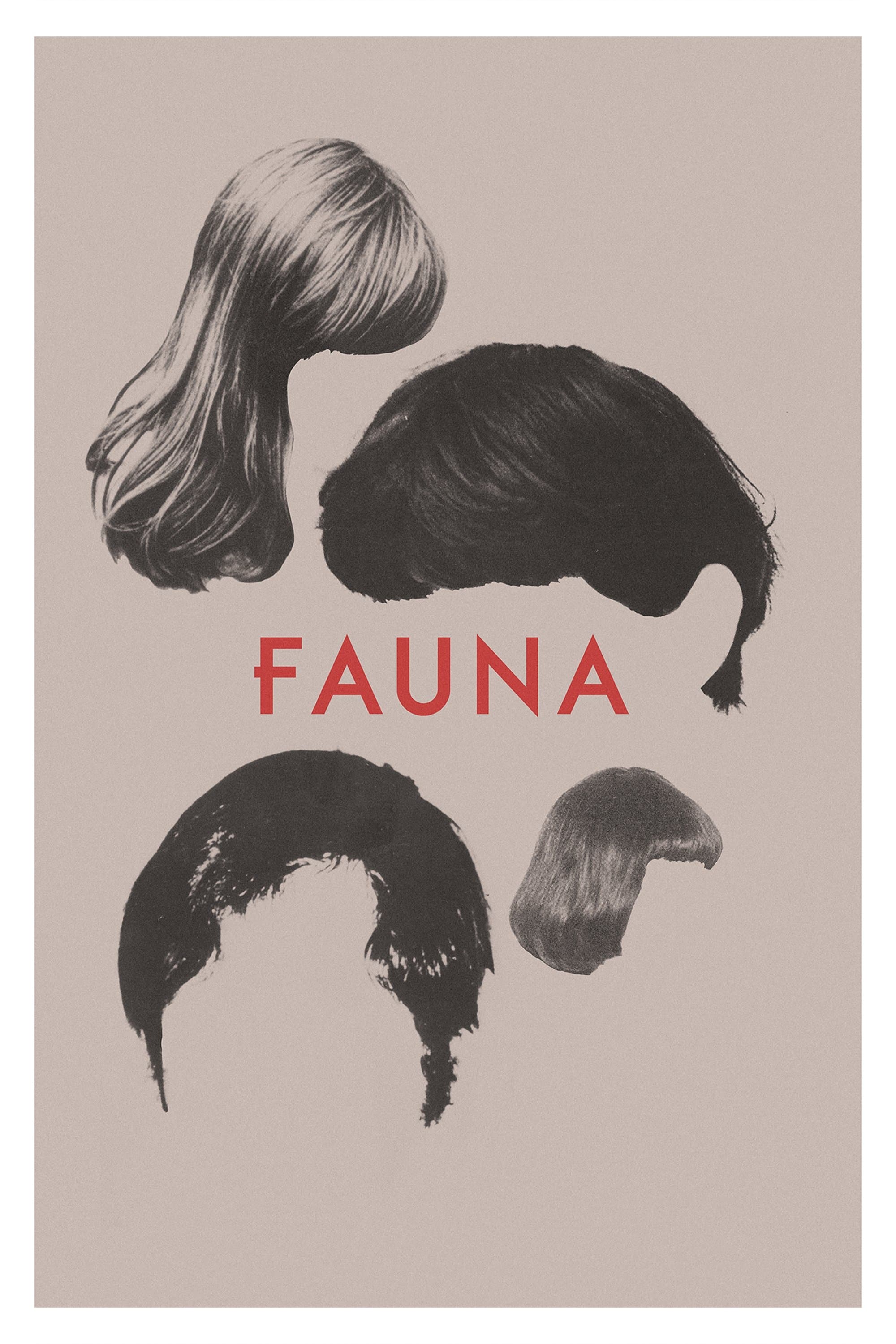 Poster Fauna