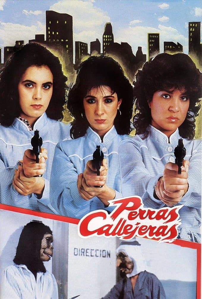 Poster Female Street Dogs