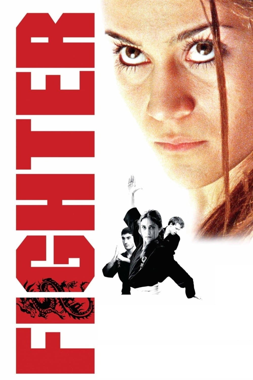 Poster Fighter