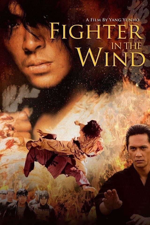 Poster Fighter in the Wind