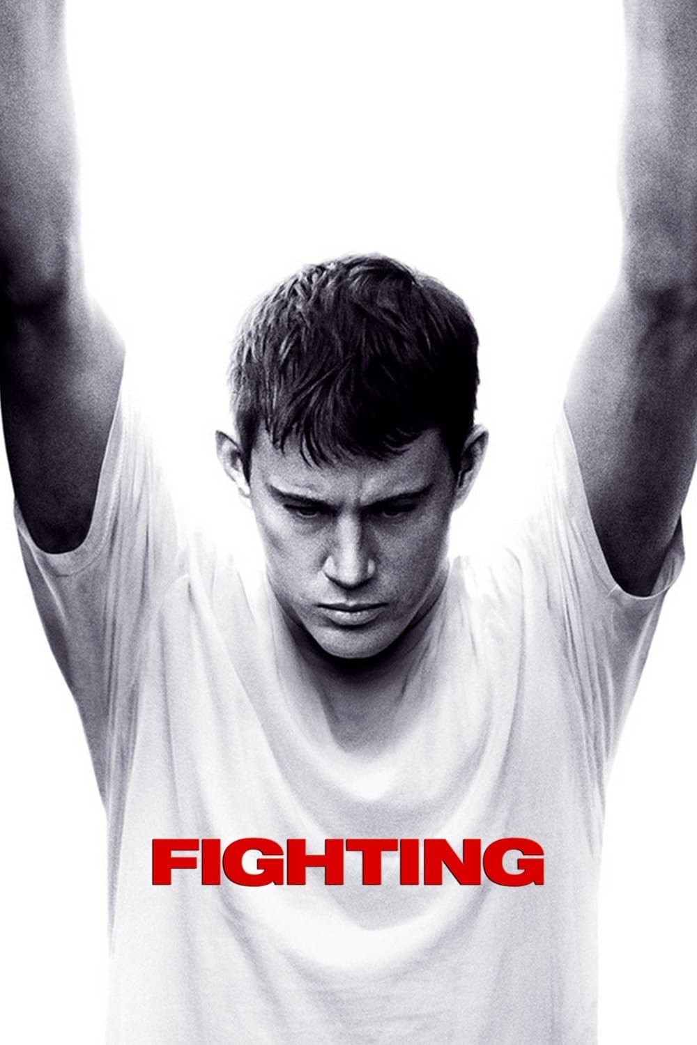 Poster Fighting
