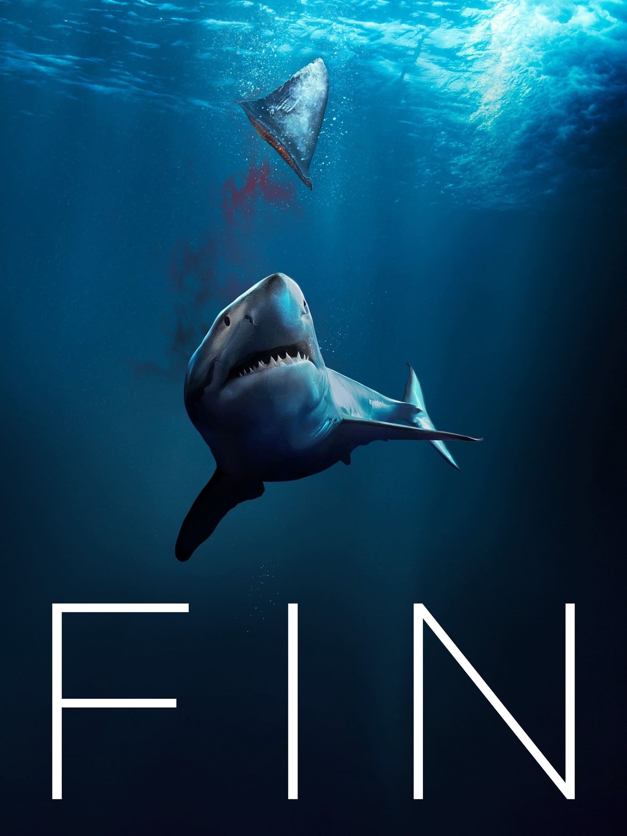 Poster Fin