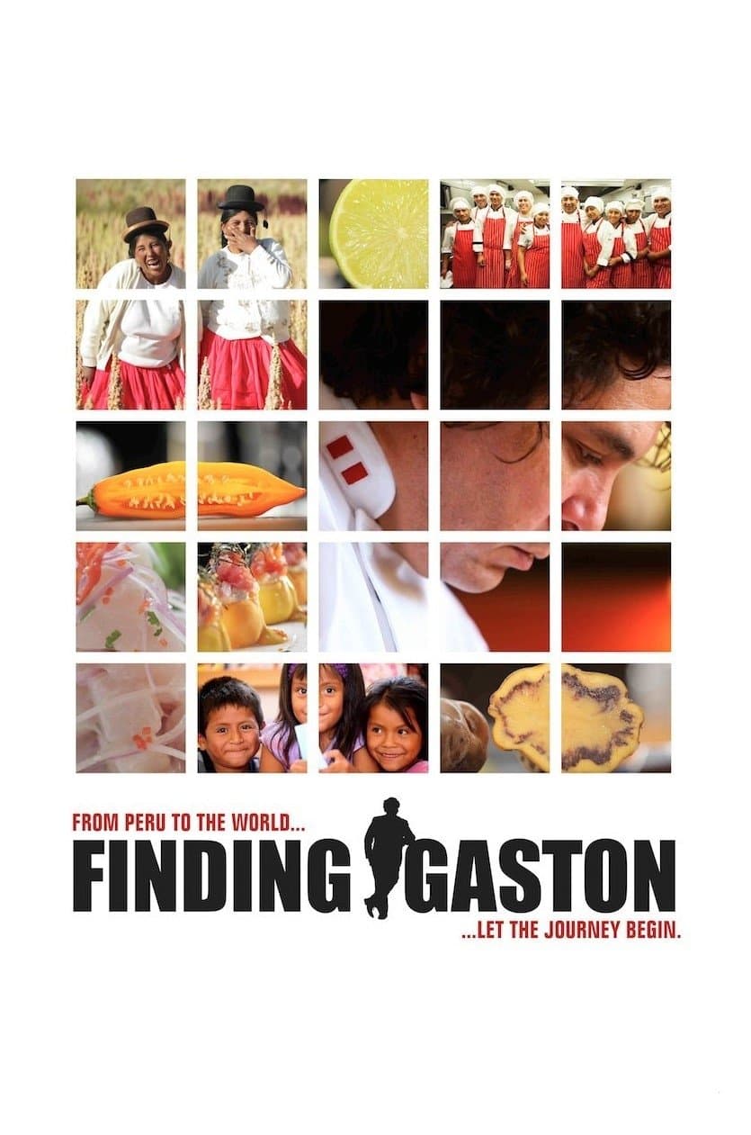 Poster Finding Gastón
