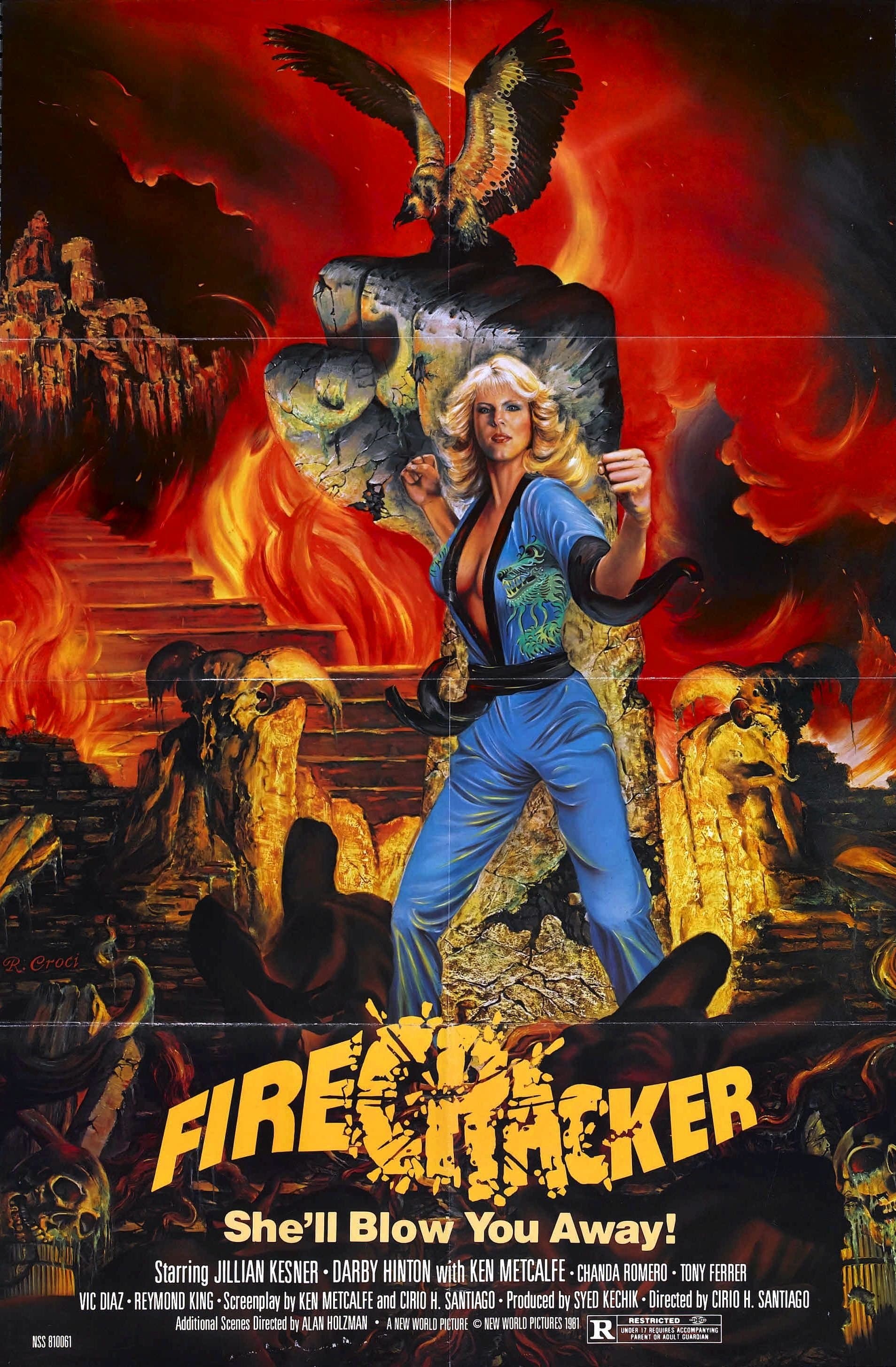 Poster Firecracker