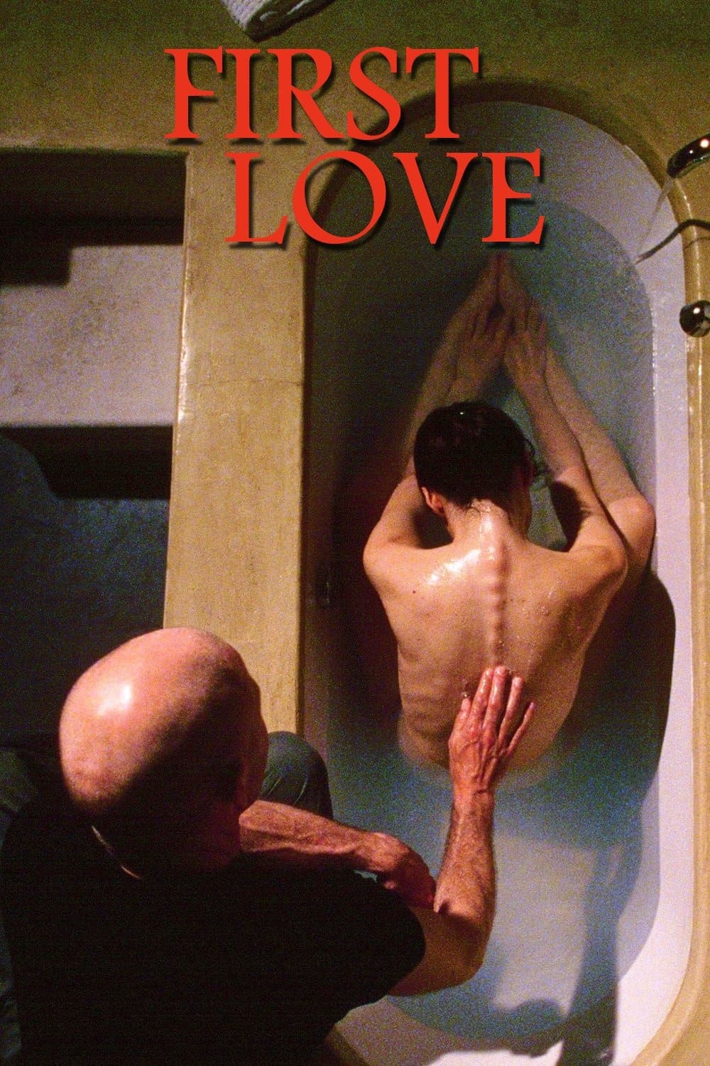 Poster First Love