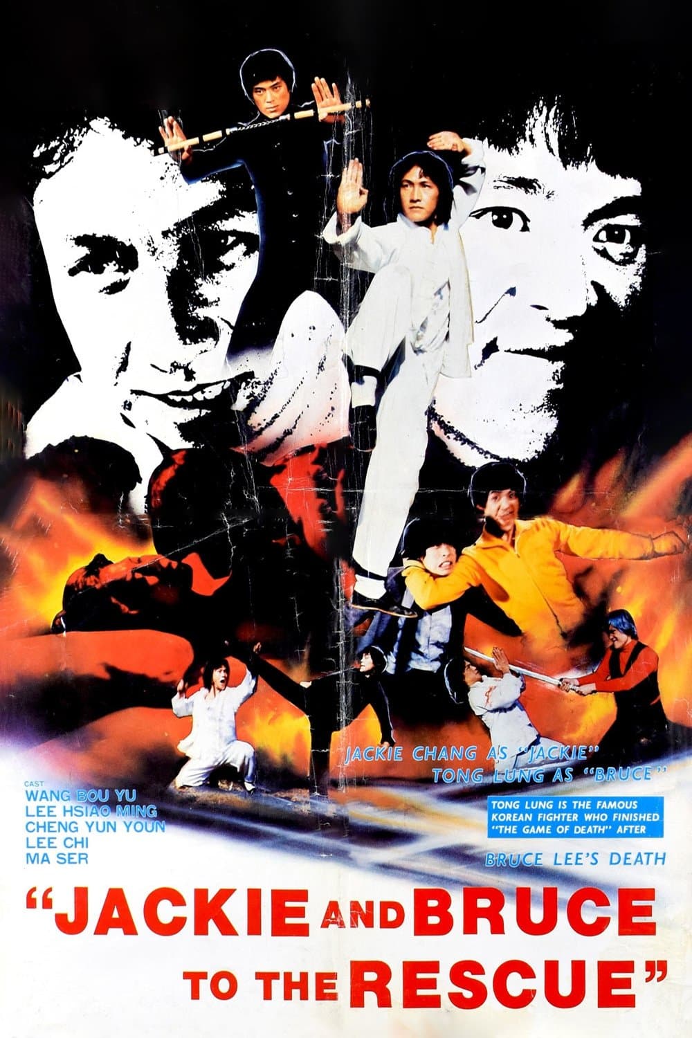 Poster Fist of Death
