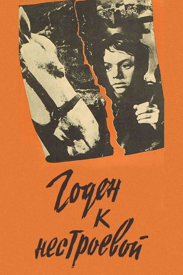 Poster Fit for Non-Combatant