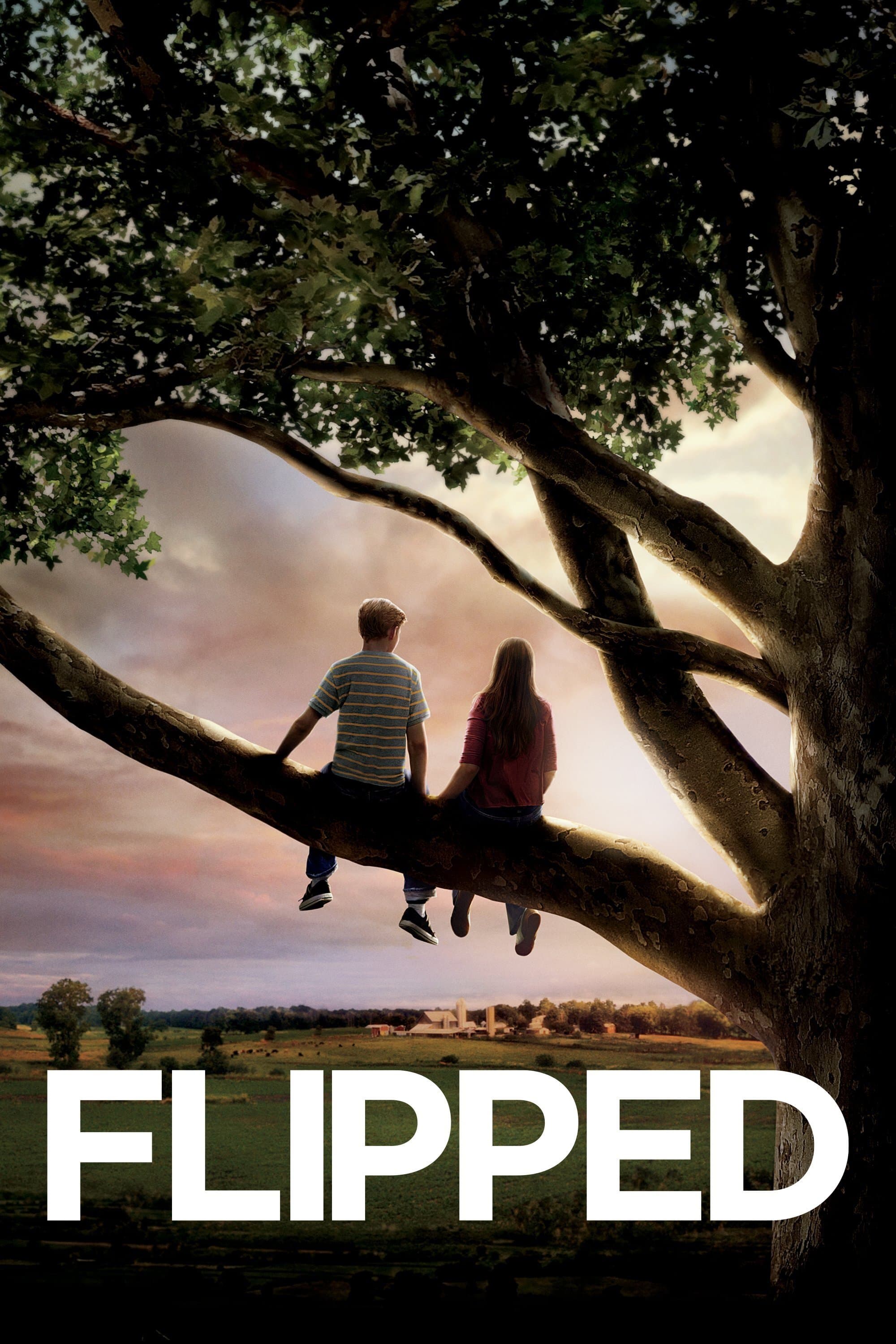 Poster Flipped