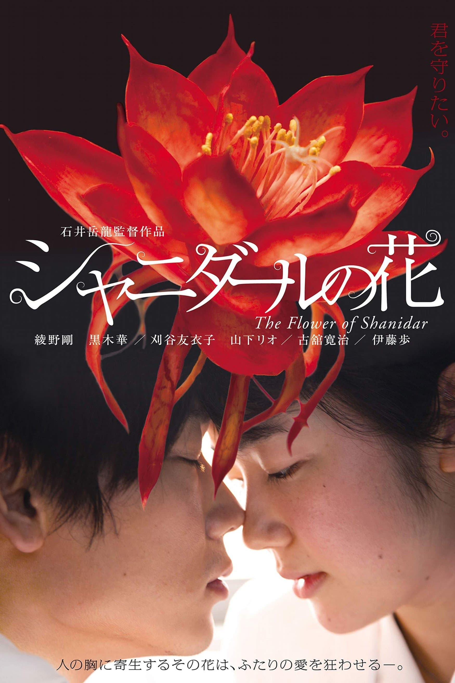 Poster Flower of Shanidar