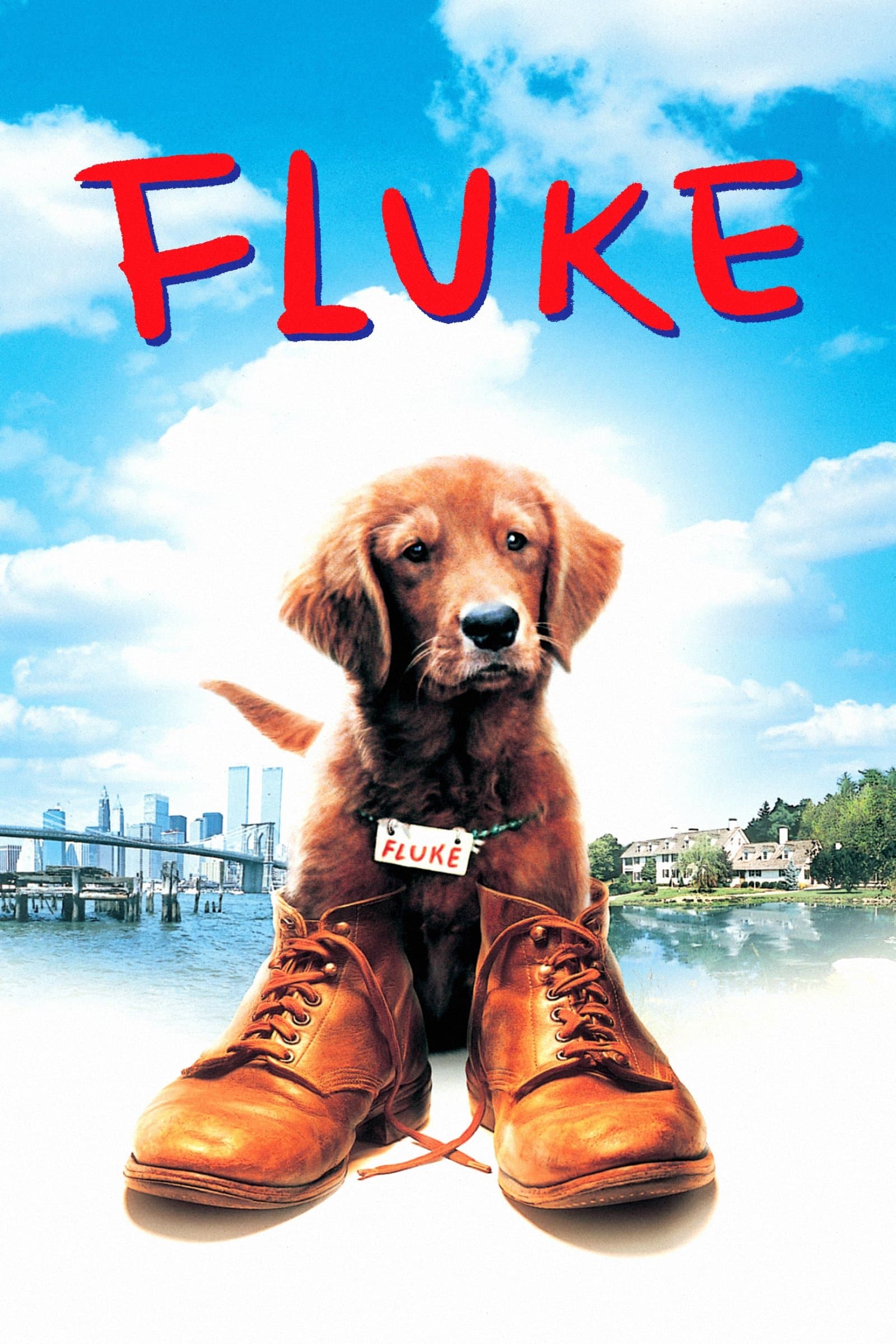 Poster Fluke