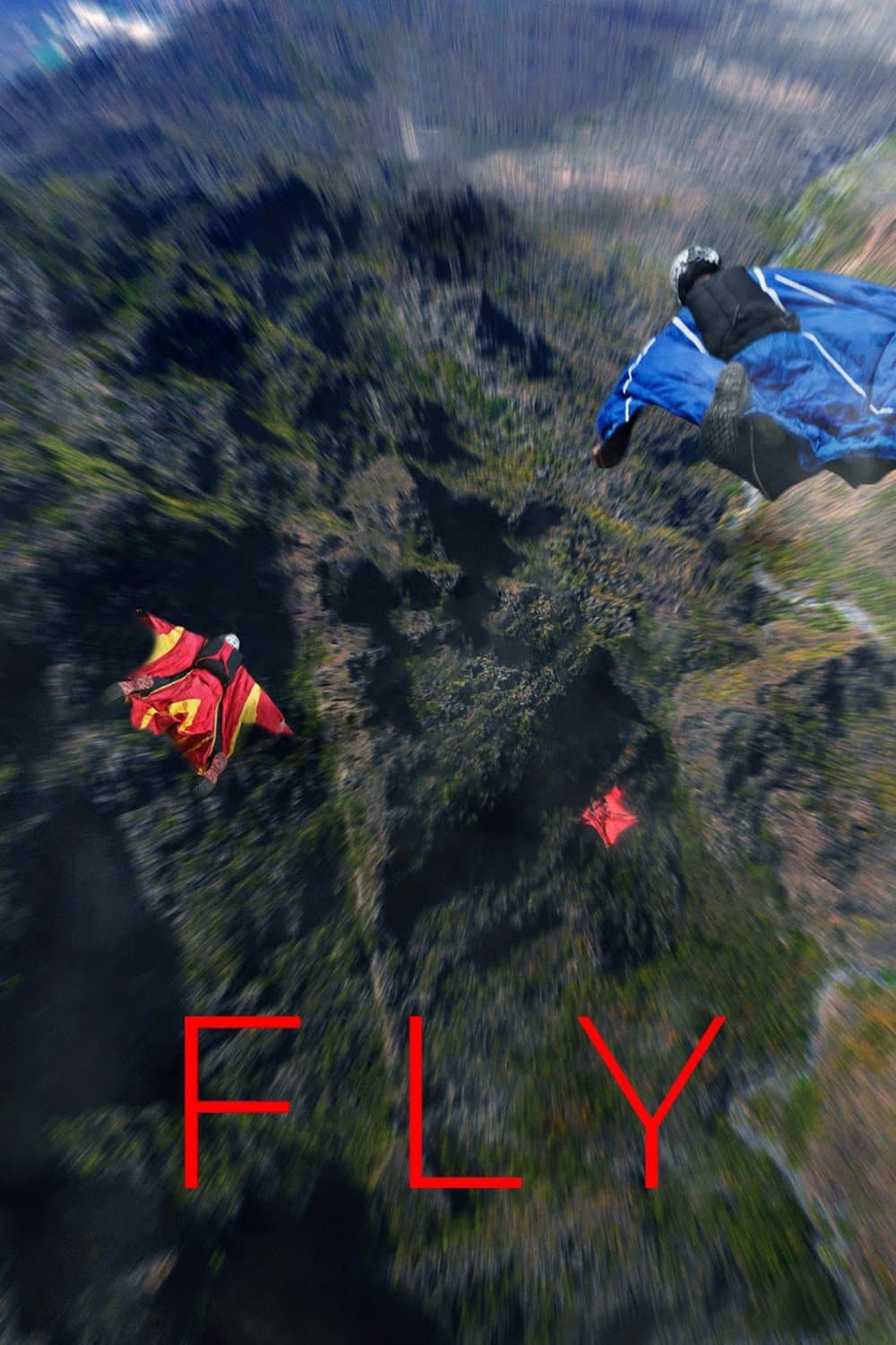 Poster Fly