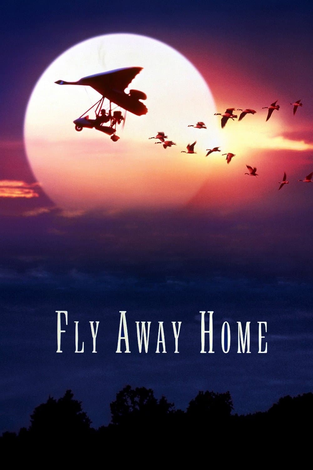Poster Fly Away Home