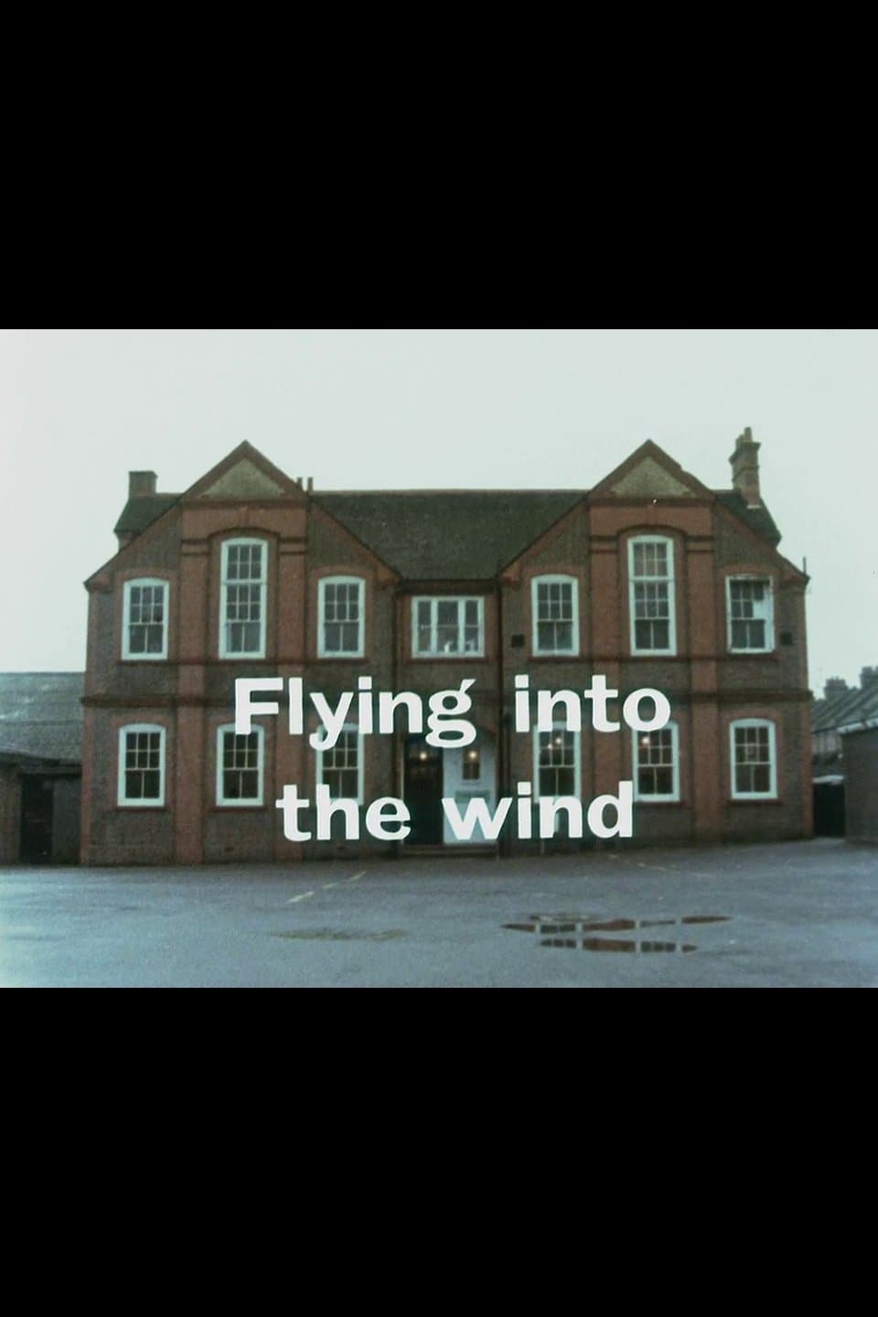 Poster Flying Into the Wind