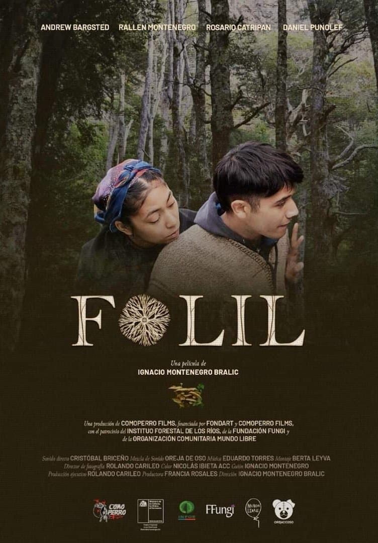 Poster Folil